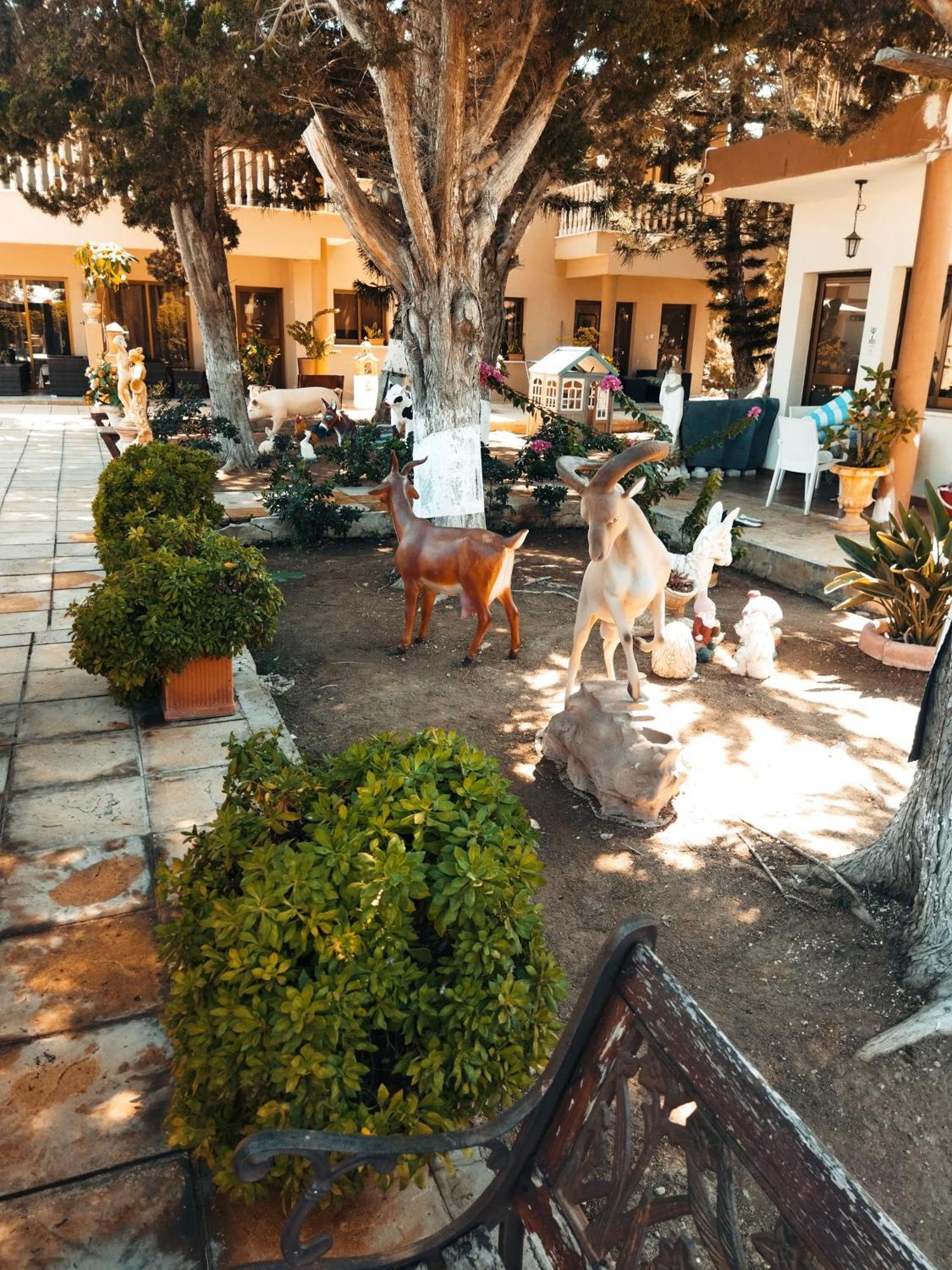 Paphos Anastasia Holiday Apartments מראה חיצוני תמונה